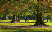 Nationale Golfbon Brummen Golfbaan Kasteel Engelenburg